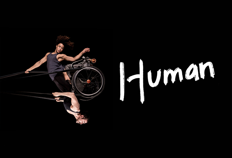 Black background. A photo of a woman and a man swinging in the air like a pendulum, looking powerful and graceful. They share a wheelchair which is held up in the air by black circus straps. She has frizzy brown hair, muscular arms and wears a grey tank top. She is kneeling on his thighs and one of her arms holds the straps above her head while the other points down towards the floor. He has a neatly trimmed brown beard, muscular arms and wears a black tank top. He holds the straps to the sides of his chest with both hands. The image captures them at the highest point of the swing, to our right, bringing the man to an upside-down position with the woman above him. Their bodies are doing something hard, but their strength makes it look effortless. One word written in white, thick, brush-style letters above the photo: 'Human'